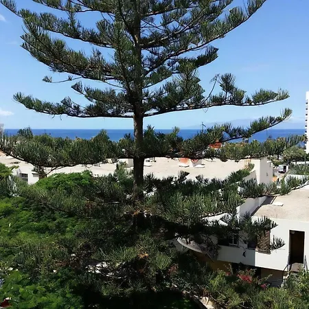 Apartament Jacaranda Mit Pool Playa de las Americas (Tenerife)